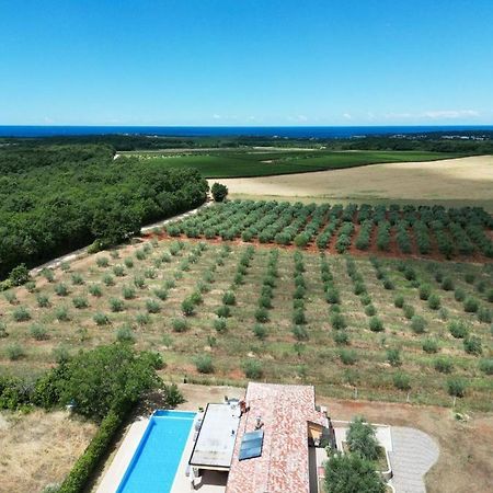 Villa Absolute Privacy Novigrad  Exterior photo