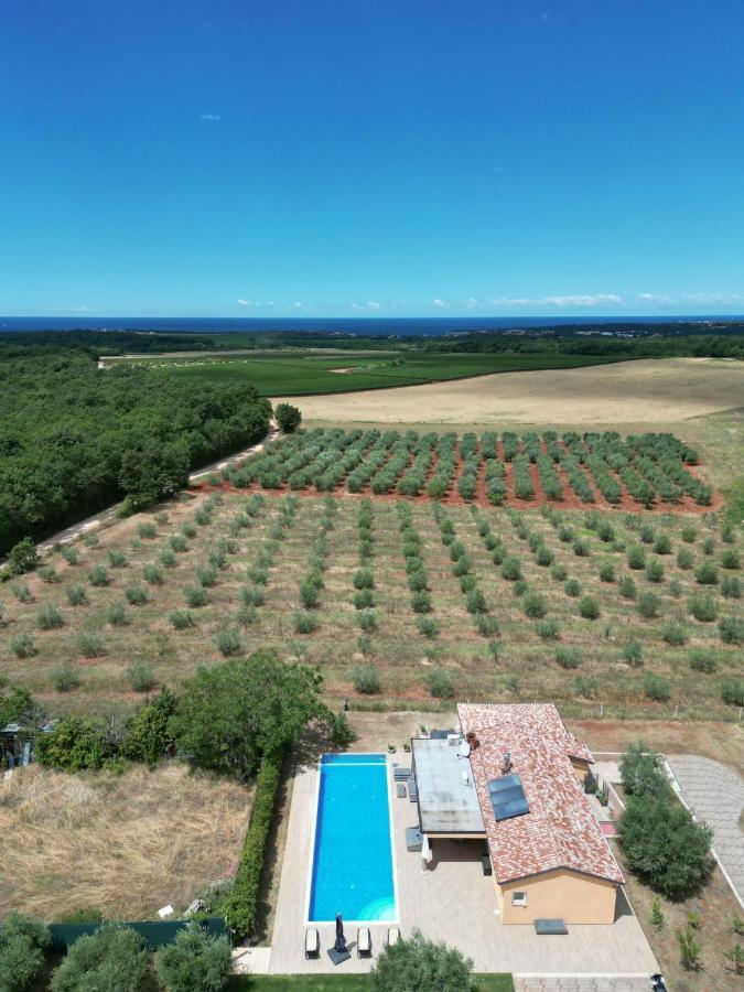 Villa Absolute Privacy Novigrad  Exterior photo
